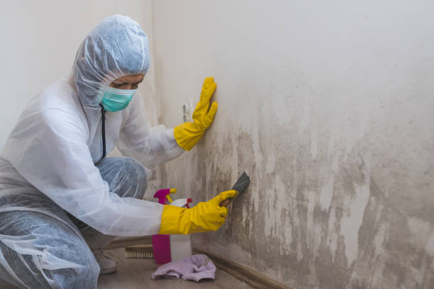 Best Crawl Space Mold Removal  in Fruitville, FL